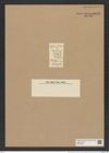 Asterolampra kittoniana Grev. (de-Toni-Nr.: Genus 235, Species 5651) Zeichnungen Sammlung Grunow Nr. 9637 (NHMW-BOT-W0379568)